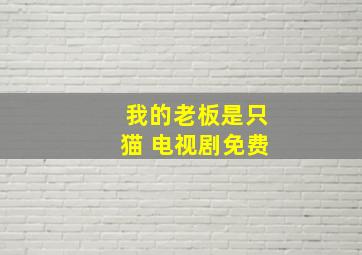 我的老板是只猫 电视剧免费